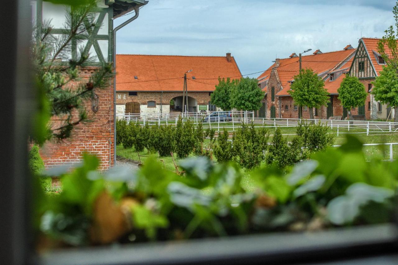 Kadyny Folwark Hotel & Spa Kültér fotó